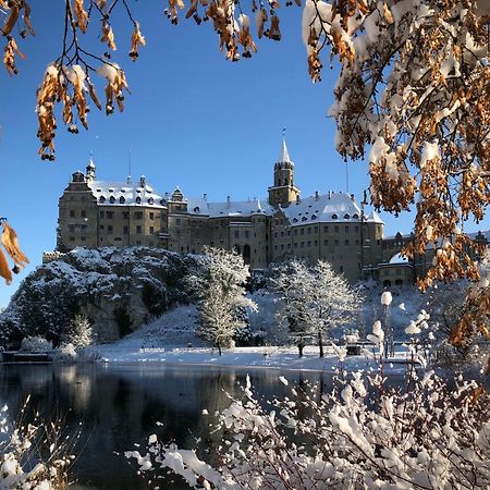 Privatzimmer Leopold Apartment Sigmaringen Bagian luar foto
